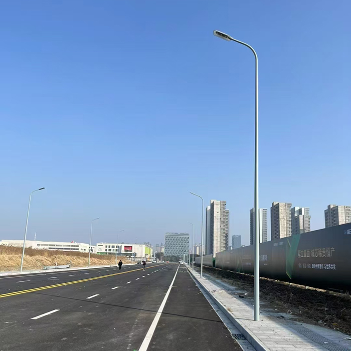 道路灯杆工程案例1.jpg